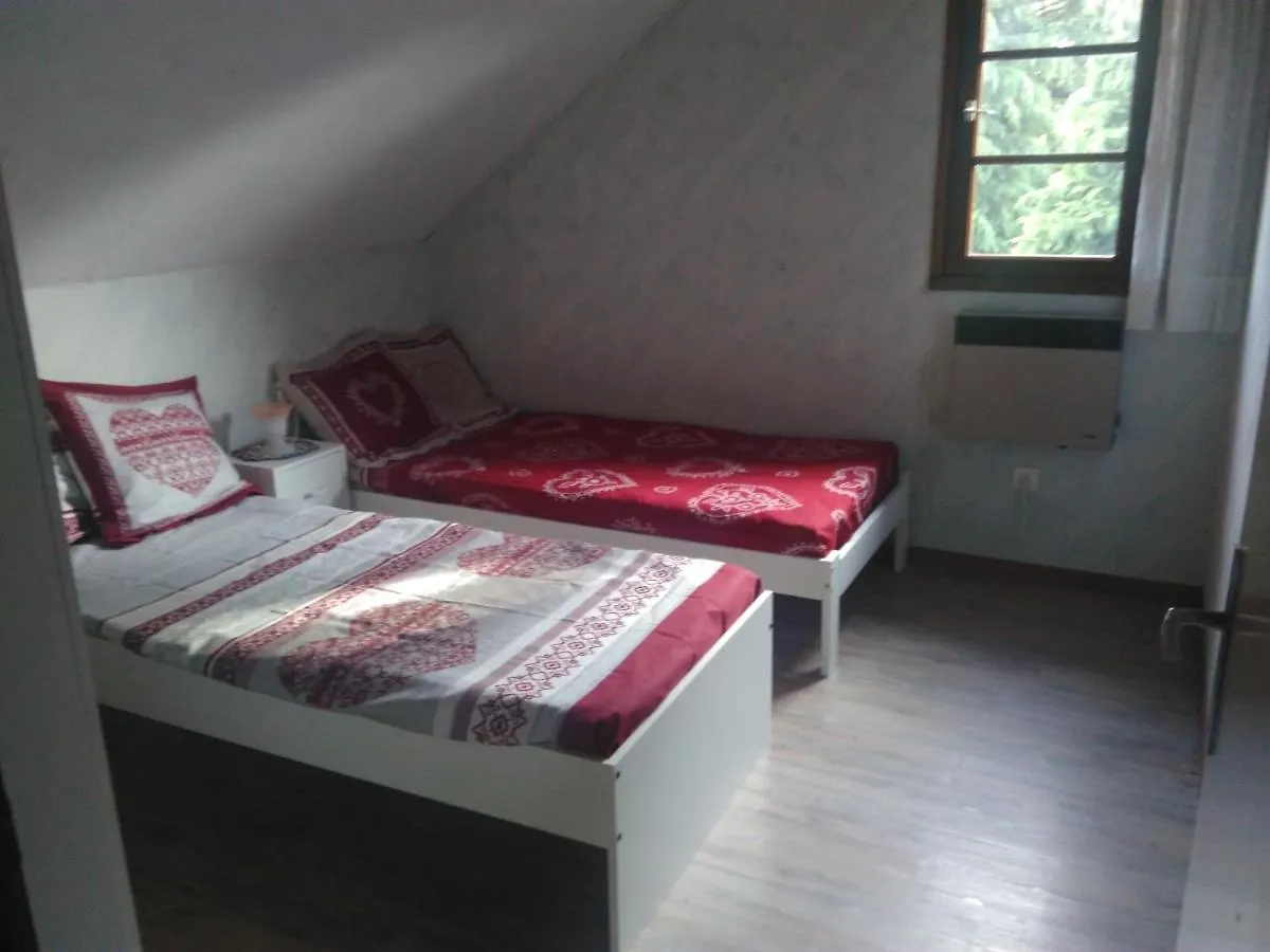 Chalet Du Lac Hotel Saint-Remy-sur-Durolle 0*,