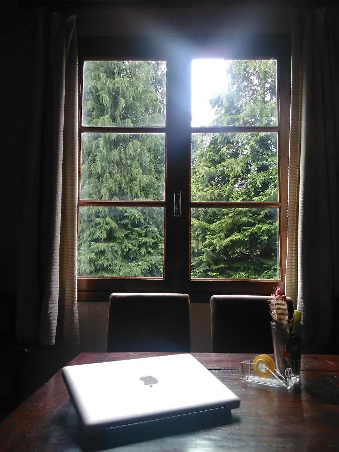 Chalet Du Lac Hotel Saint-Remy-sur-Durolle France